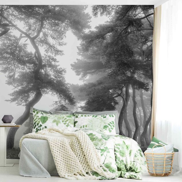 Papier peint moderne Forêt majestueuse en noir et blanc
