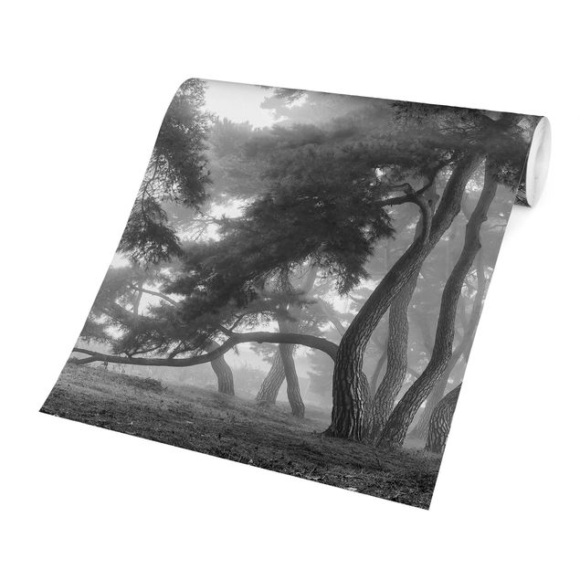 Papier peint panoramique Forêt majestueuse en noir et blanc