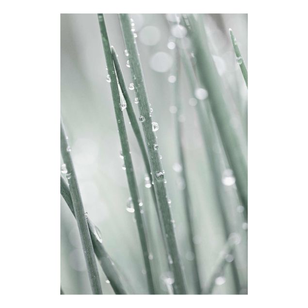 Tableau vert Macrophoto de perles d'eau sur de l'herbe