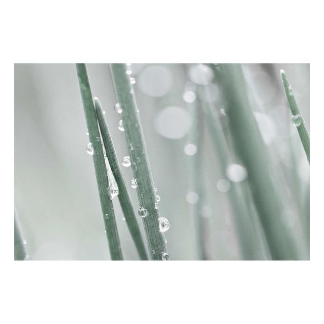 Tableau vert Macrophoto de perles d'eau sur de l'herbe