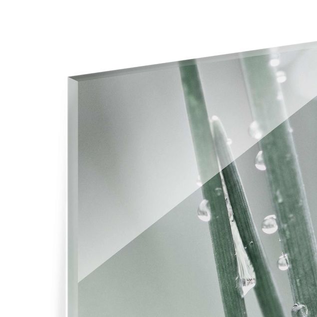 Tableaux en verre magnétique Macrophoto de perles d'eau sur de l'herbe