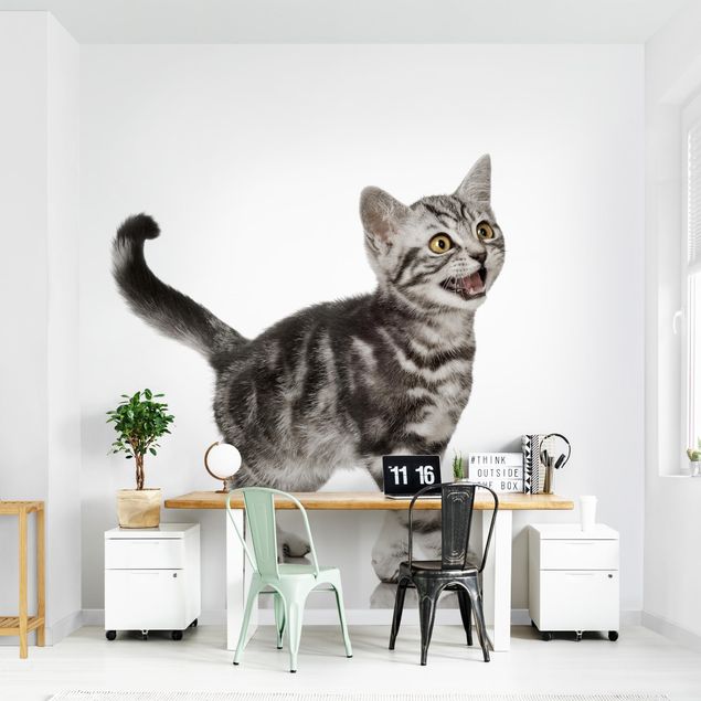 Papier peint moderne Kitty