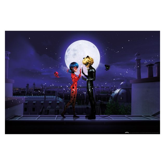 tapisserie panoramique Miraculous Ladybug And Cat Noir In The Moonlight