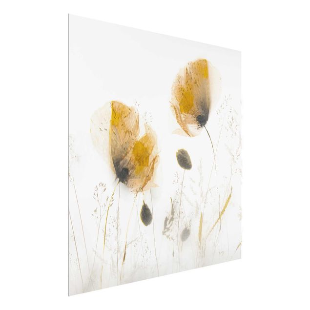 Tableaux en verre fleurs Fleurs de pavot et herbes délicates dans un doux brouillard