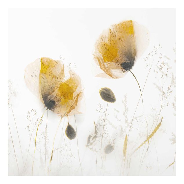 Tableaux moderne Fleurs de pavot et herbes délicates dans un doux brouillard