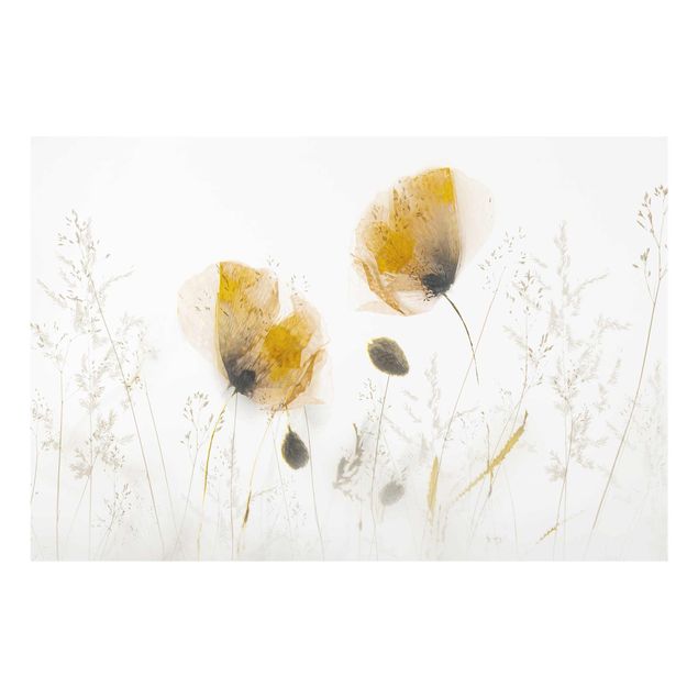 Tableaux moderne Fleurs de pavot et herbes délicates dans un doux brouillard