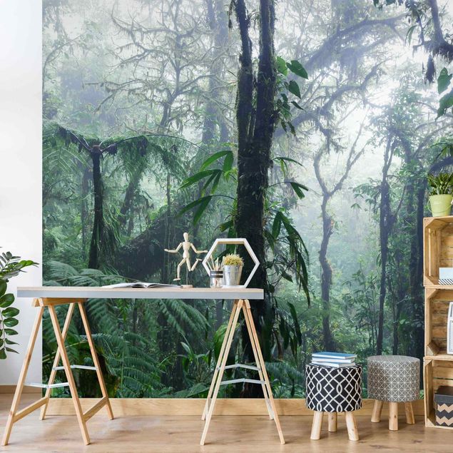Papier peint panoramique forêt Forêt de nuages de Monteverde