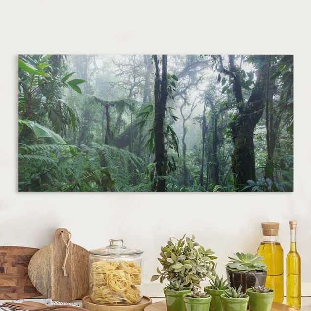 Tableau paysage Forêt de nuages de Monteverde