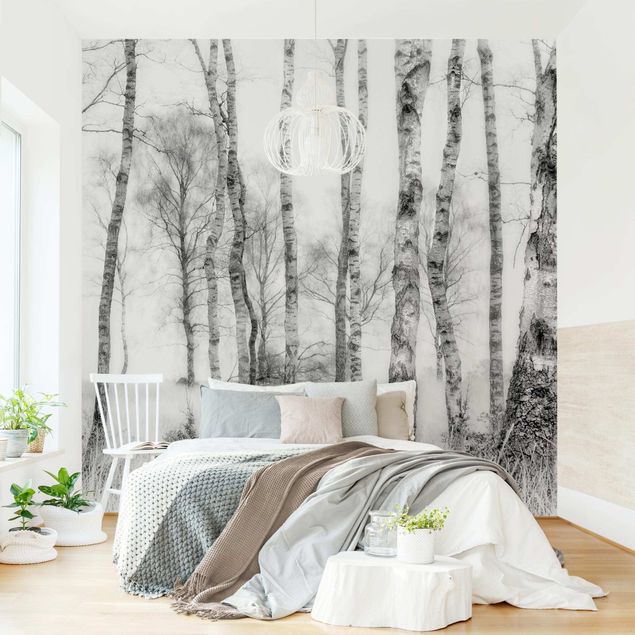 Papiers peints modernes Forêt de bouleaux mystique en noir et blanc