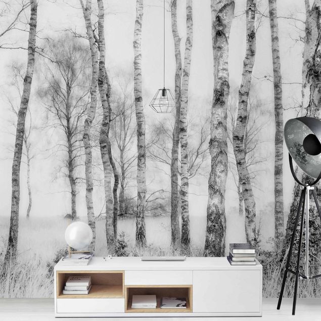 Papier peint panoramique forêt Forêt de bouleaux mystique en noir et blanc