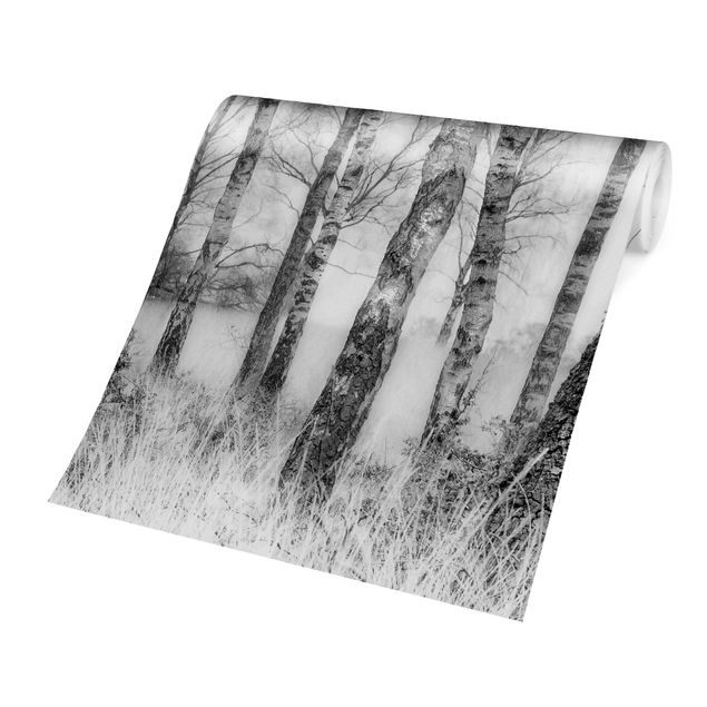 tapisserie panoramique Forêt de bouleaux mystique en noir et blanc