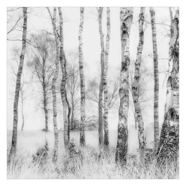 Papier peint - Forêt de bouleaux mystique en noir et blanc