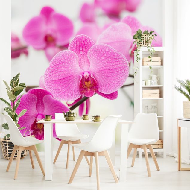 Tapisserie moderne Gros plan sur une orchidée