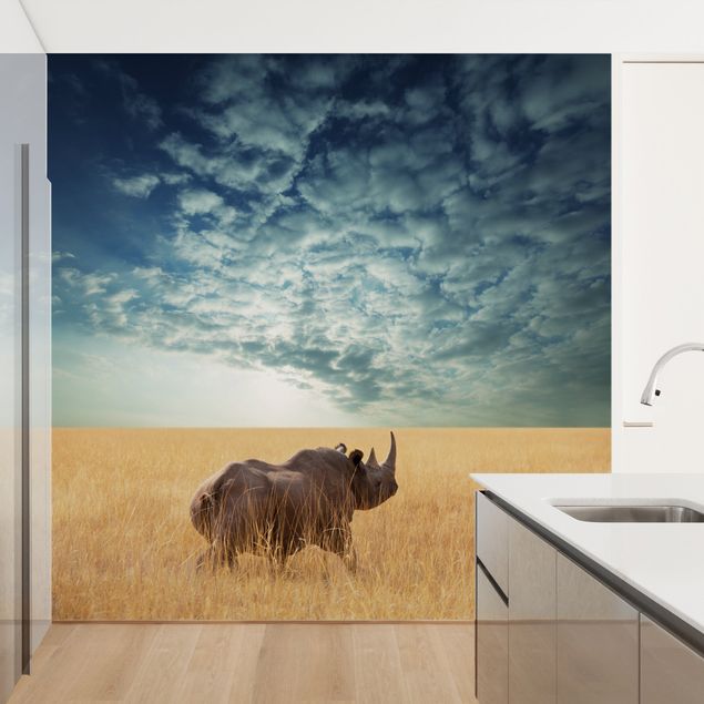 Papiers peints afrique Rhinocéros dans la savane