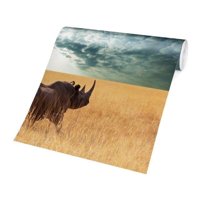 Papier peint animaux forêt Rhinocéros dans la savane