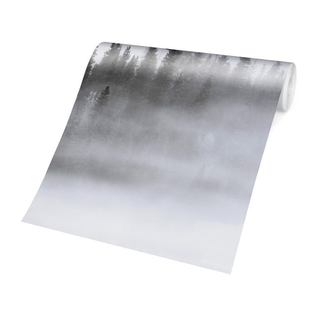 Papier peint panoramique Nebbia nel bosco di abeti in bianco e nero