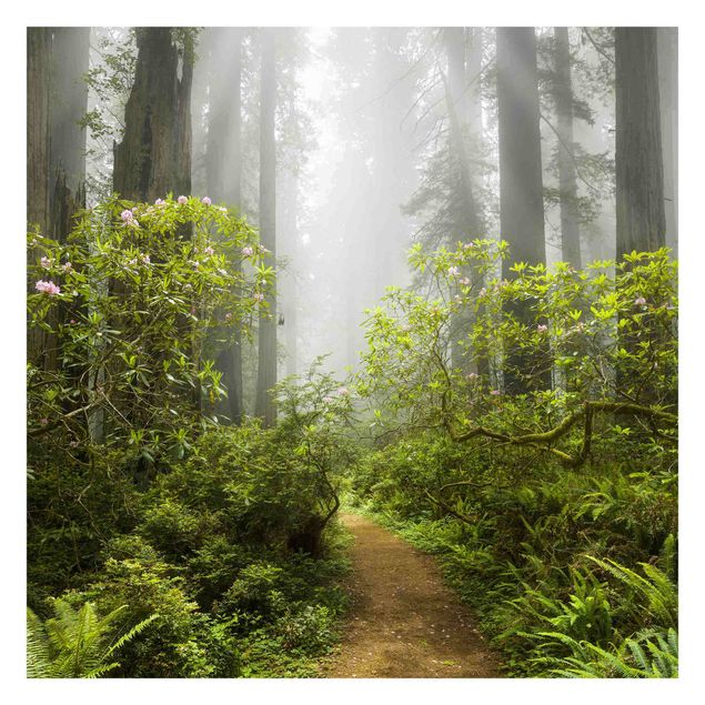 Tableaux de Rainer Mirau Chemin de forêt brumeux