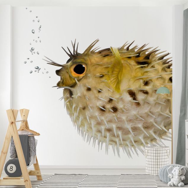 Papiers peints poissons No.602 Pufferfish