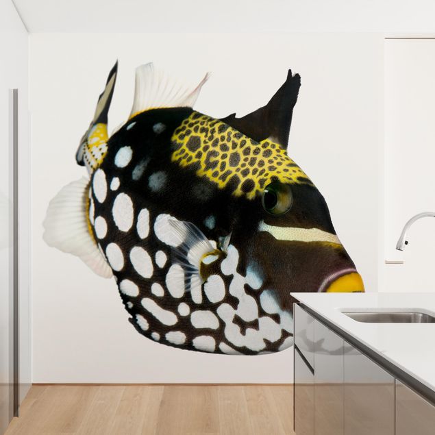 Tapisserie animaux Clown Triggerfish