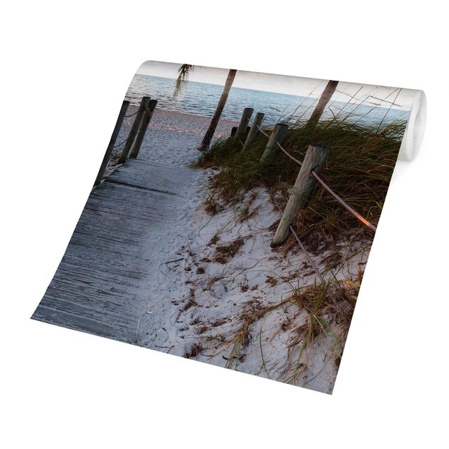 papier peint panoramique plage Palmiers sur la promenade vers l'océan