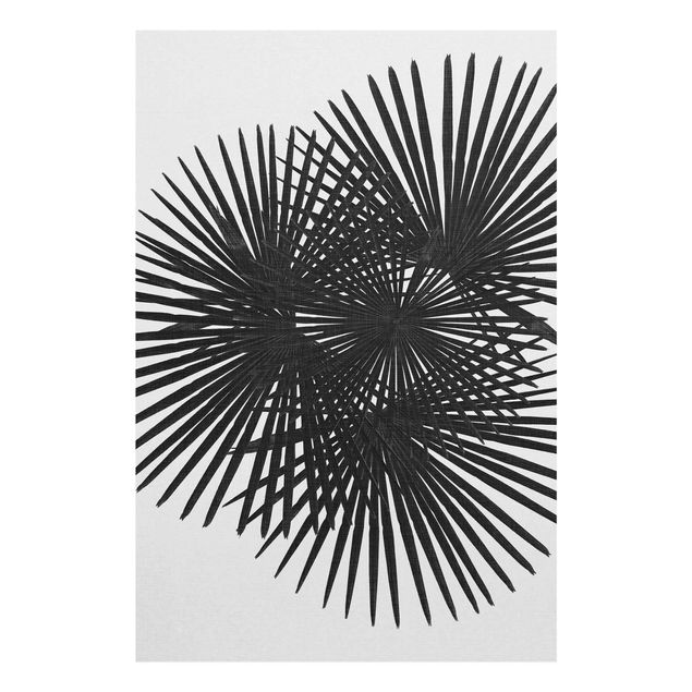 Tableaux noir et blanc Feuilles de palmier en noir et blanc
