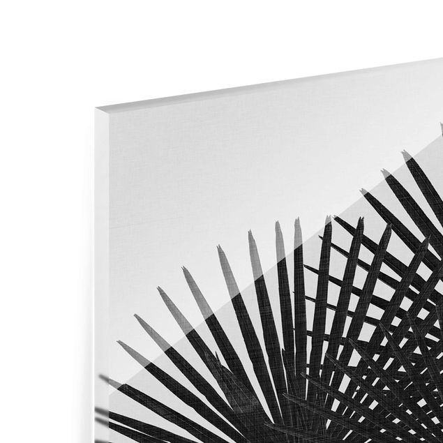 Tableaux en verre magnétique Feuilles de palmier en noir et blanc