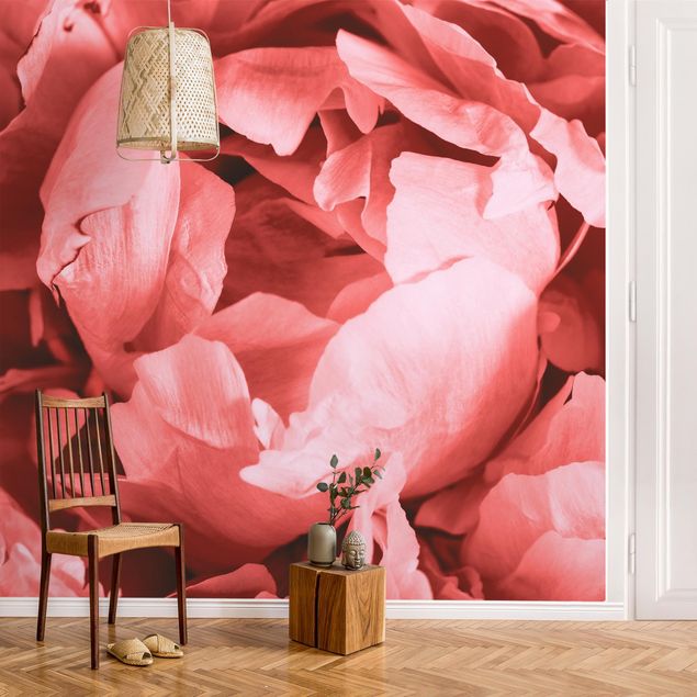 Papier peint fleur rose Pivoine Fleur Corail