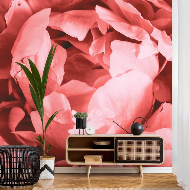 Papiers peints modernes Pivoine Fleur Corail