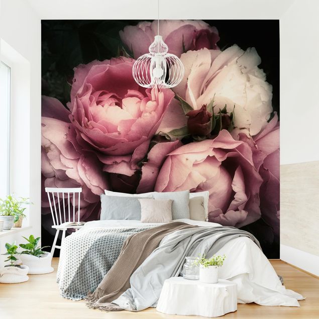 Papier peint fleur rose Peonie su sfondo nero shabby