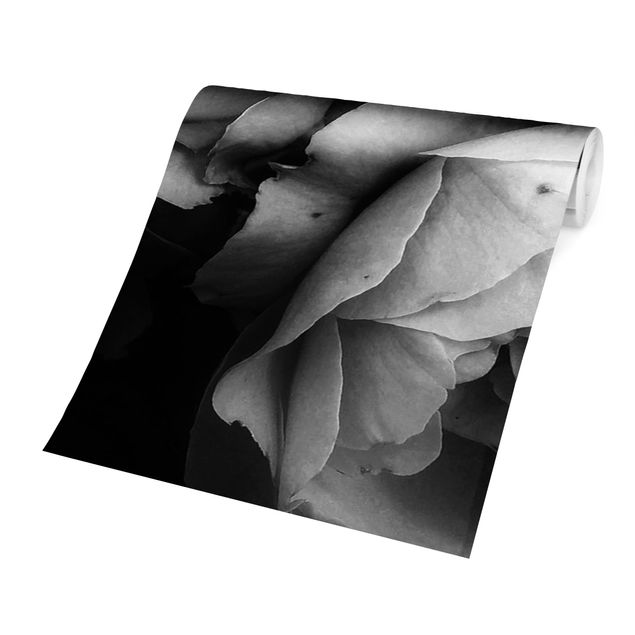 Papier peint campagne chic Peonies On Black Shabby Black And White
