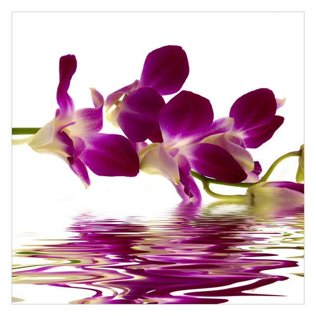 Papier peint - Pink Orchid Waters
