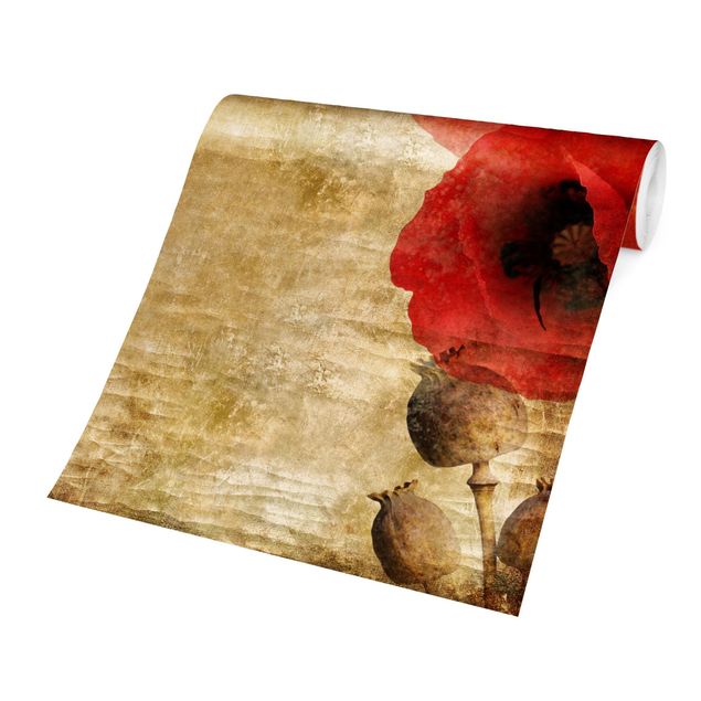 Papier peint vintage Fleur de Coquelicot
