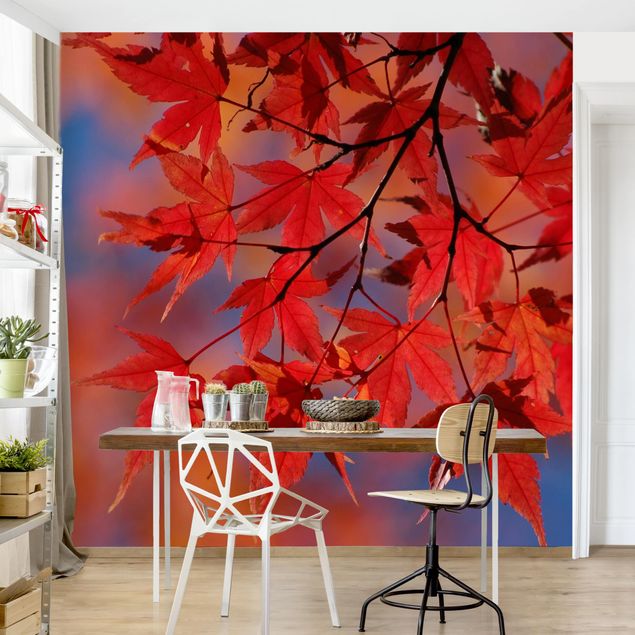 Papier peint panoramique forêt Erable Rouge