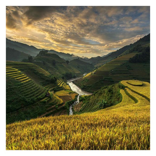 Papier peint panoramique Plantations de riz au Vietnam