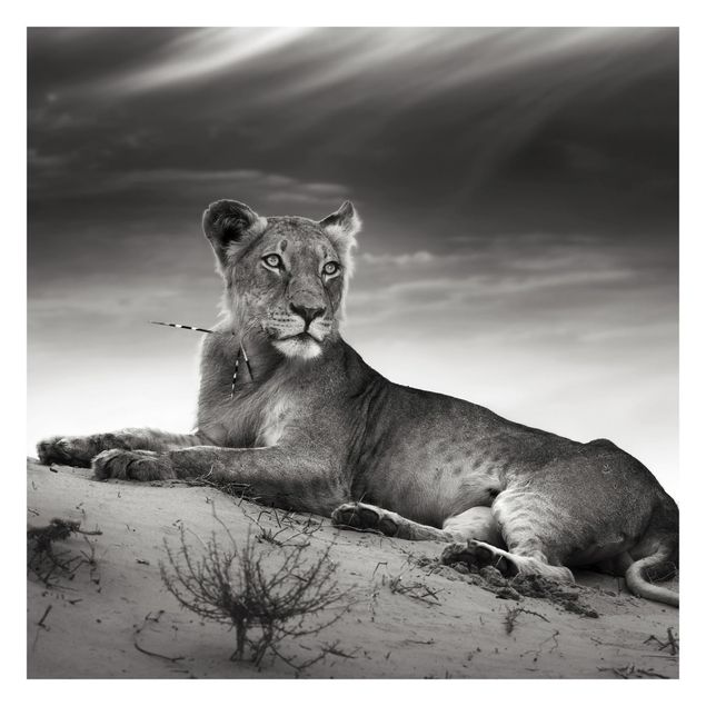 Papier peint - Resting Lion