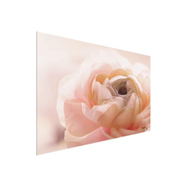 Tableaux moderne Focus sur une fleur rose pâle
