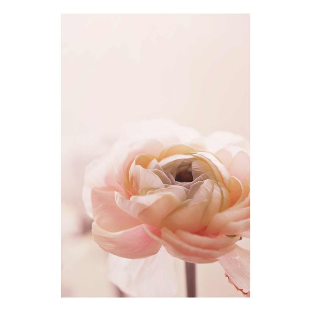 tableaux floraux Focus sur une fleur rose pâle
