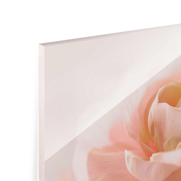 Tableaux muraux Focus sur une fleur rose pâle
