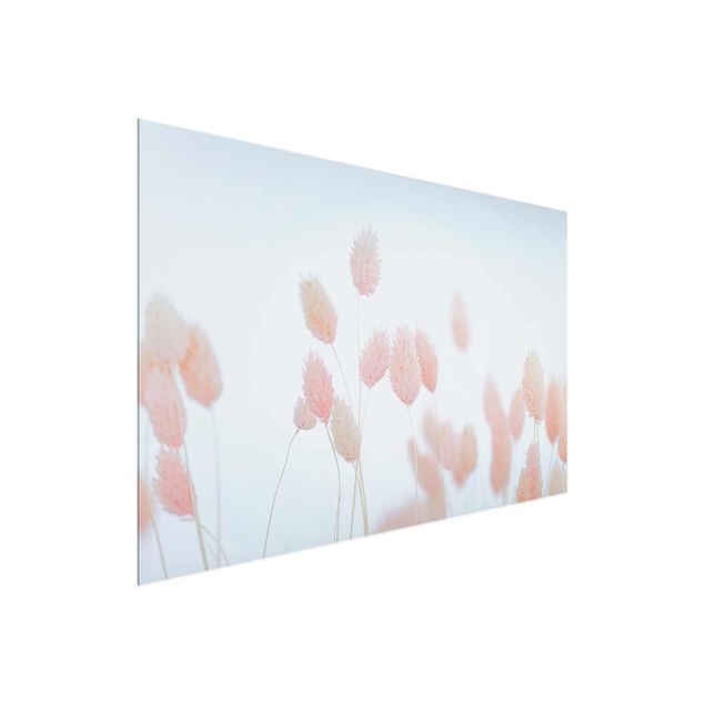 tableaux floraux Grass Tips In Pale Pink