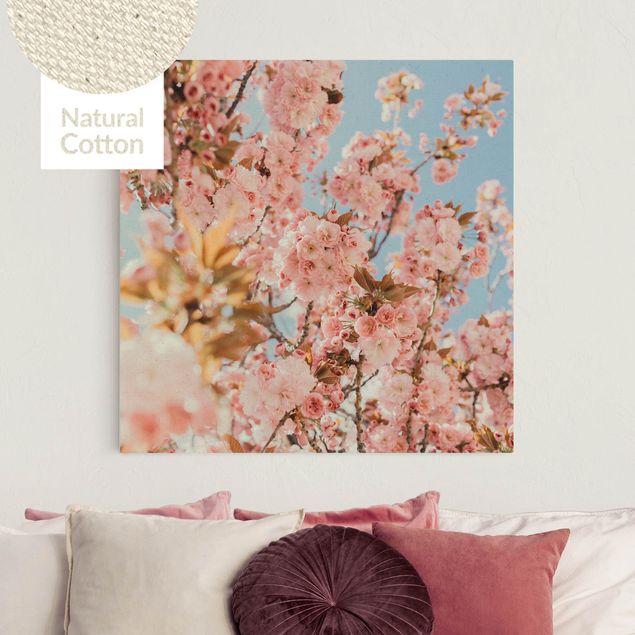 Tableaux sur toile avec herbes Cerisiers roses en fleur