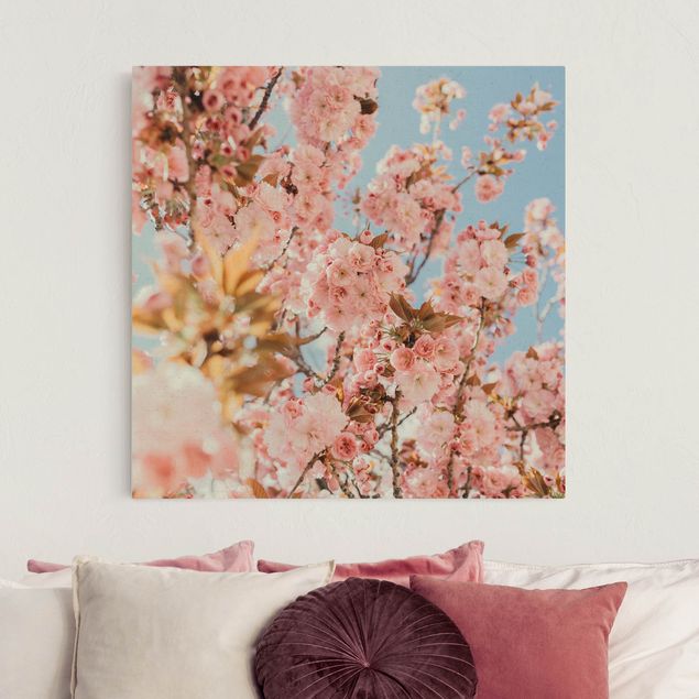 Tableau moderne Cerisiers roses en fleur