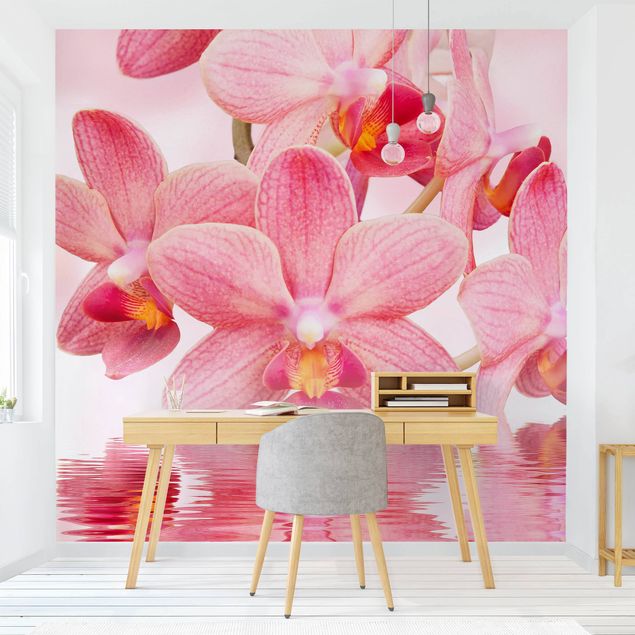 Papiers peints modernes Orchidée rose clair sur l'eau