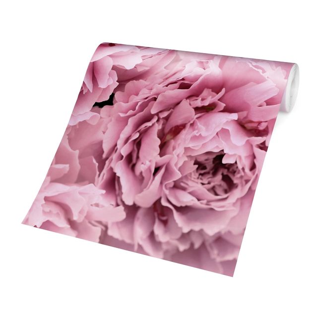 Papier peint campagne chic Pivoines roses