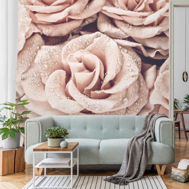 Papier peint moderne Roses Sépia avec Gouttes D'eau