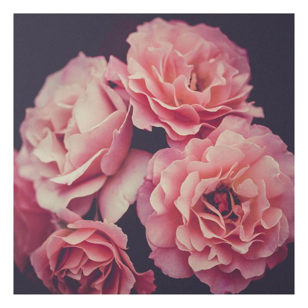Tableaux fleurs Roses paradisiaques