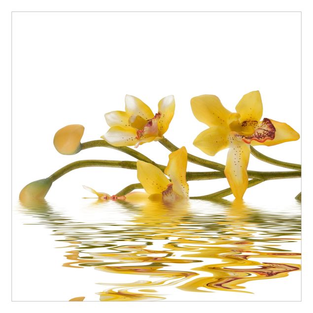 Papier peint - Saffron Orchid Waters