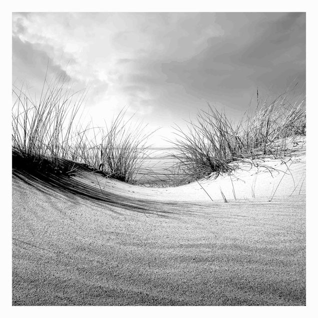 Papier peint paysage Dune de sable noir et blanc