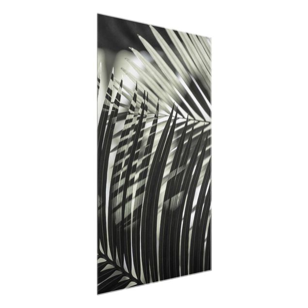 Tableaux modernes Jeu d'ombres sur une branche de palmier