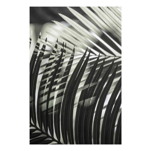 Tableaux fleurs Jeu d'ombres sur une branche de palmier