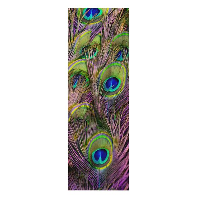 Tableau décoration Plumes de paon irisées